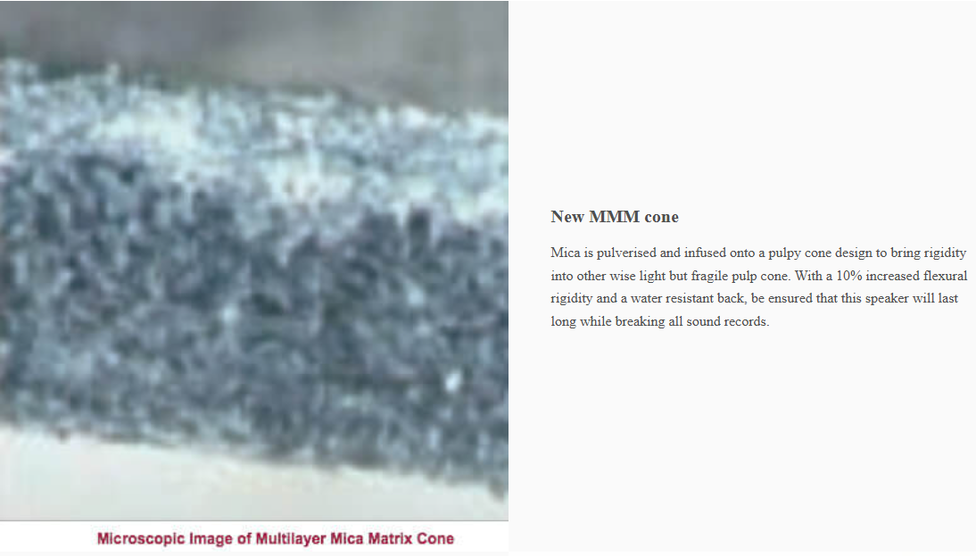 Multilayer Mica Matrix Cone of Pioneer TS-R6951S Car Speaker showing rigidity and water-resistant design
