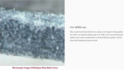 Multilayer Mica Matrix Cone of Pioneer TS-R6951S Car Speaker showing rigidity and water-resistant design